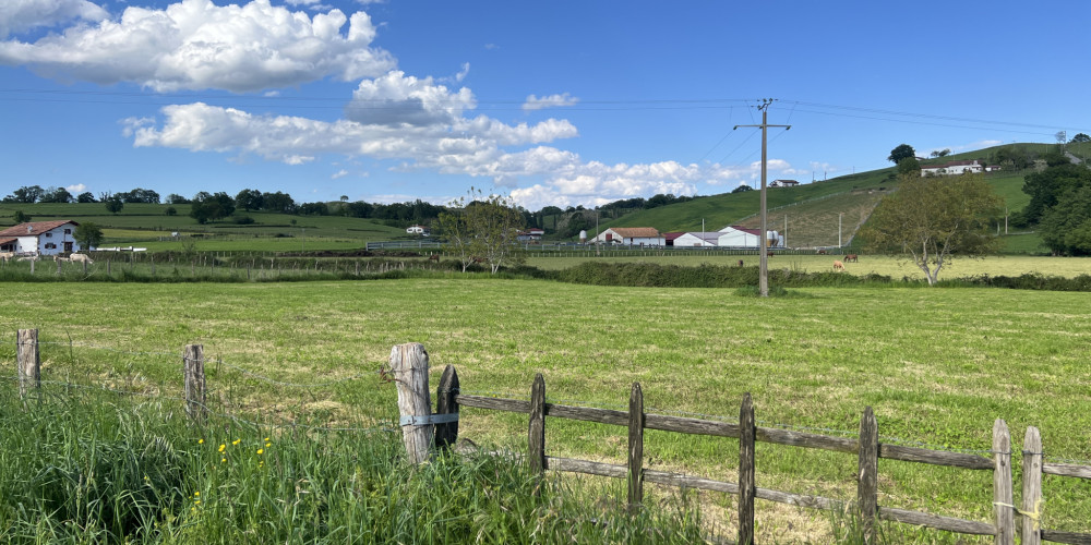 fond de commerce à IHOLDY (64640)